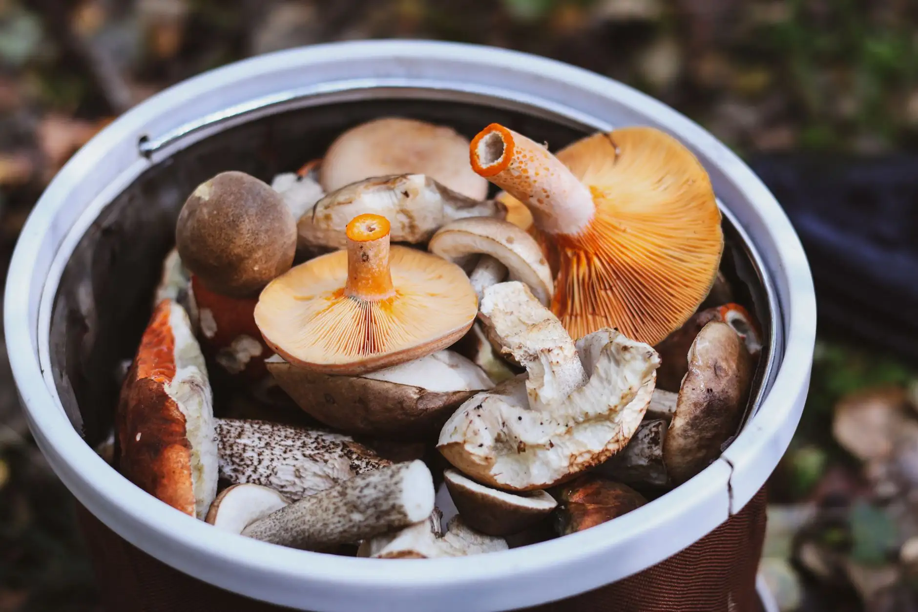 上海圣黎兰科技乳液泵与喷头技术参数对比分析